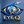 Eye Q Surveillance Force Ltd
