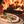Fireplace: Wood Fire Pizza