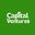 Capital Ventures Limited