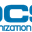 DCS ORGANIZATION LIMITED 