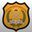 RAPID ACTION SECURITY SERVICE PVT LTD