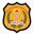 Rapid Action Security Services PVT LTD
