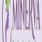 Minerva Skin Care & Aesthetic Center