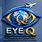 Eye Q Surveillance Force Ltd