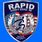 Rapid security service ltd