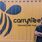 CarryBee Express