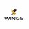 SB WINGS LIMITED