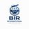 Bir International