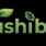 Tushi Bd Limited 