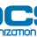 DCS ORGANIZATION LIMITED