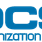 DCS ORGANIZATION LIMITED 