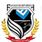 Blue Valley Security Service Ltd