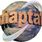 Shaptak (IT) Limited