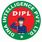 Dina intelligence private limited