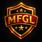 Mim Force Guard Ltd. (MFGL)