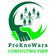ProKnoWara Consulting Firm