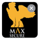 Max Secure Ltd.