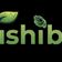 Tushi Bd Limited 