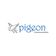 Pigeon Communication