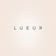 Lueur Bakery