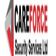 CARE FORCE SECURITY SERVICES LTD